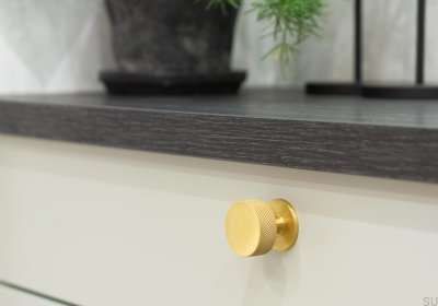 Furniture Knob Crest 32 Silver Metal (Inox Look)