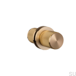 Door-knob_Fixed_Linear_Double-sided_Glass_brass_A1_Web (2).jpg