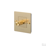 EU_Electrcity_1G_dimmer_Brass_main_Web-scaled (1).jpg