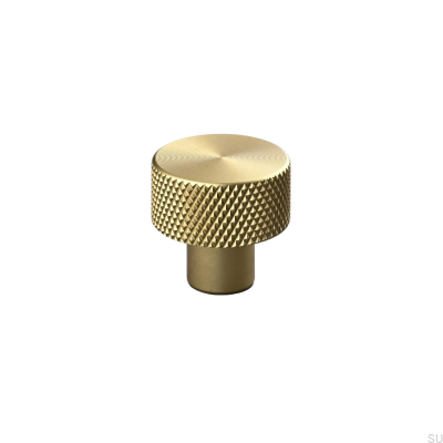 Rimini 20 Brushed Gold furniture knob