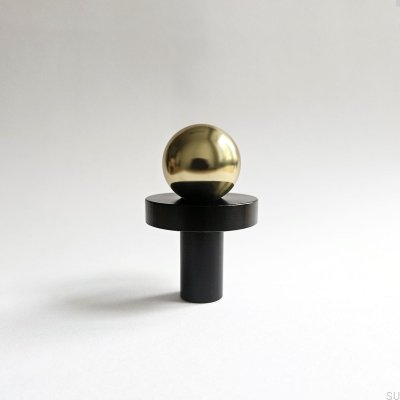 Pola polished brass furniture knob with black washer