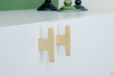 Flat Line 12 furniture knob, brushed brass, unvarnished