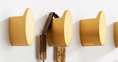 Takk Gold Brushed Wall Hanger