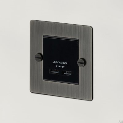 Dual USB Sockets Module for Euro Plate White British Standard