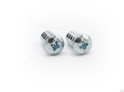 Roller rail screw 2-pack