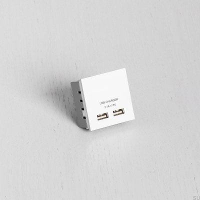 Dual USB Sockets Module for Euro Plate White British Standard