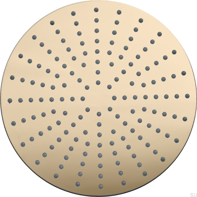 Round rain shower head 300 ZSOF079 Polished Brass, Unpainted