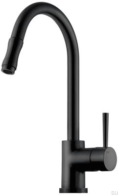 Kitchen faucet with pull-out spout EVO185, Matte Black Brass