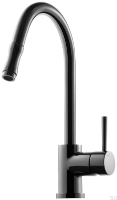 Kitchen faucet with pull-out spout EVO185 Brass Black Chrome