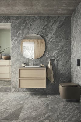 Bathroom radiator TW800-200 Brushed Nickel Steel