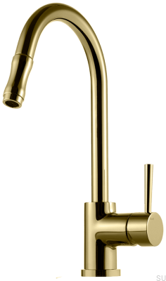 Kitchen faucet with pull-out spout EVO185, Honey Gold Brass