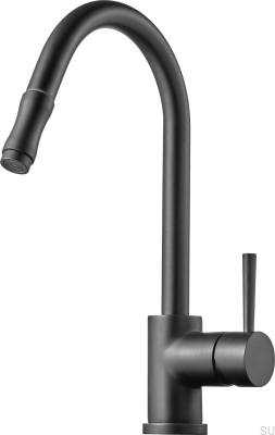 Kitchen faucet with pull-out spout EVO185, Graphite Brass