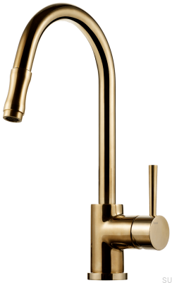 Kitchen faucet with pull-out spout EVO185, polished brass, unpainted