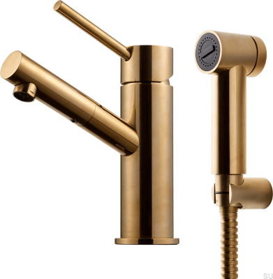 BI069 washbasin-bidet faucet, polished brass, unpainted