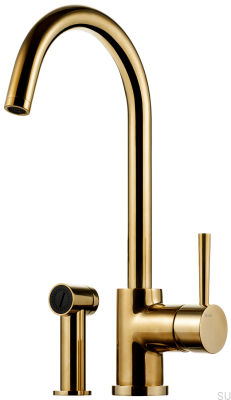 Two-hole kitchen faucet with shower EVO200 Polished Brass Unpainted