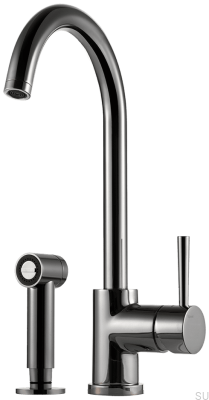 Two-hole kitchen faucet with shower EVO200, Brass, Black Chrome