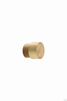 Radio Mini 26 Wooden Oak Furniture Knob with Gold Brushed