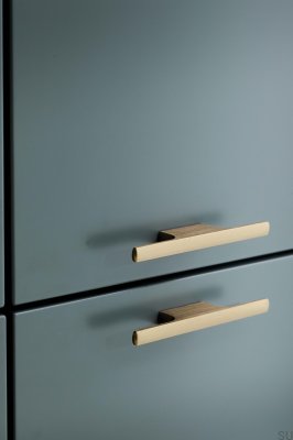 Tau 32 Aluminium Brushed Gold Elongated Furniture Handle