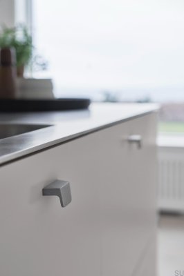 Envelope 32 Aluminum Silver oblong furniture handle