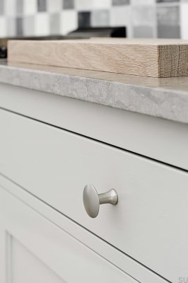 Castle 37.8 Silver Furniture Knob