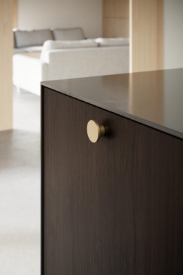 Circle 50 Metal Furniture Knob Brushed Gold