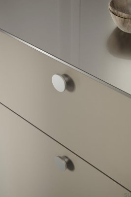 Circle 50 Metal Silver Furniture Knob