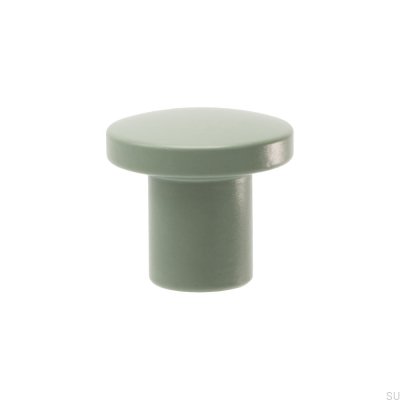 Skye 25 Steel Green Furniture Knob