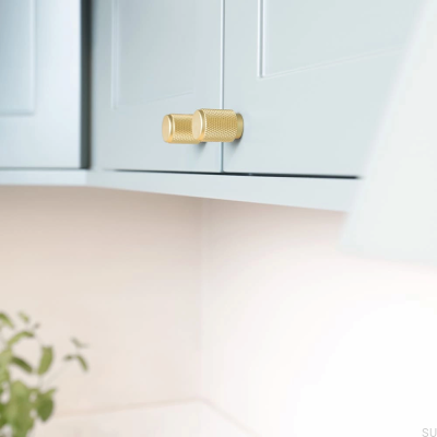 Furniture knob Riff 21 Matte Gold