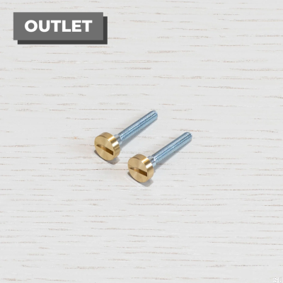 Switch screws Brass Electricity (2 pieces)