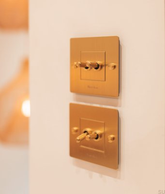 Cross 1G All in one double switch Brass European standard