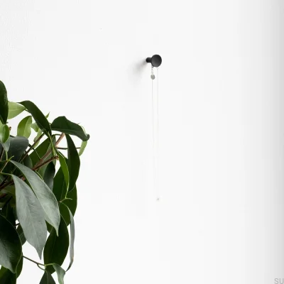 Sture 18 Brass Black Wall Hanger