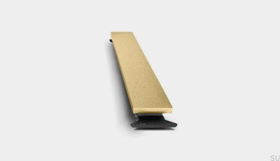 HighLine 253 Steel Gold PVD linear drain panel