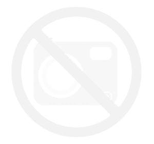Trevo Brass Wall Lamp with Black (Left)
