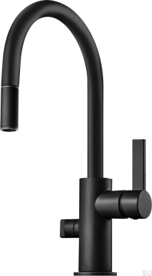 Kitchen faucet with pull-out spout and dishwasher valve ARM385 Brass Matte Black