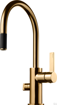 Kitchen faucet with pull-out spout and dishwasher valve ARM385 Polished Brass Unlacquered