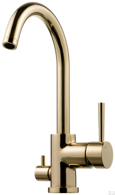 Kitchen tap with dishwasher valve EVO184 Polished Brass Unlacquered