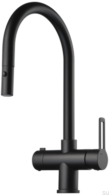 Kitchen faucet with pull-out spout and dishwasher valve RIN885 Brass Matte Black