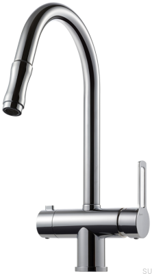 Kitchen faucet with pull-out spout and dishwasher valve RIN886 Brass Black Chrome