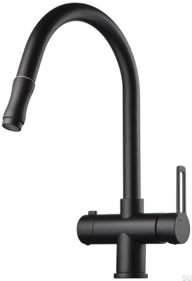 Kitchen faucet with pull-out spout and dishwasher valve RIN886 Brass Matte Black