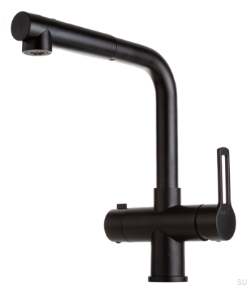 Kitchen faucet with pull-out spout and dishwasher valve RIN887 Brass Matte Black
