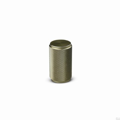 Rimini 20 Furniture Knob Brushed Gold Aluminum (High)
