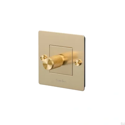LED Cross 1G 250W Brass European Standard Dimmer with Logo