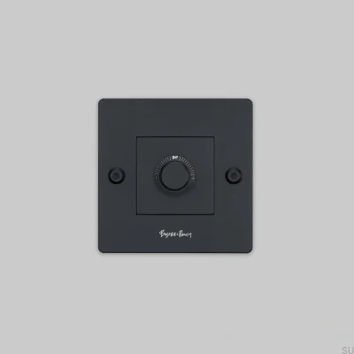 LED Linear 1G 250W Steel Black European Standard Dimmer with Switch with Logo