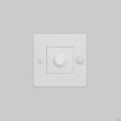 Dimmer with switch without logo LED Linear 1G 250W Steel White European Standard