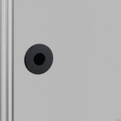 Round Swiss Sign 38 mm Steel Black Swiss Standard