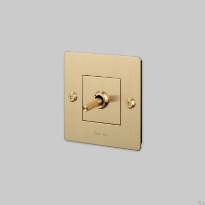 Single switch with Linear 1G logo, brass, European Standard