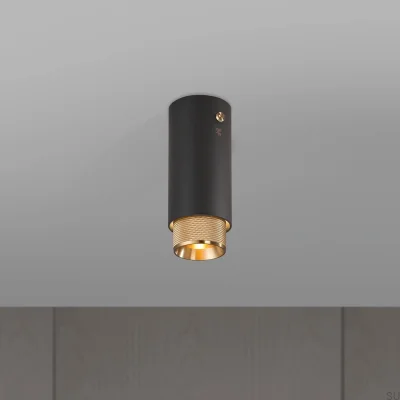Exhaust Cross Ceiling Spotlight, Steel, Graphite, with Brass
