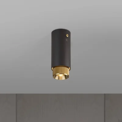 Exhaust Linear Ceiling Spotlight, Graphite Steel with Brass
