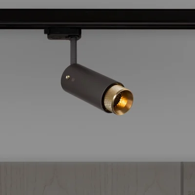 Exhaust Cross Track Spot Lamp, Graphite Steel with Brass