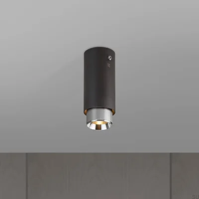 Exhaust Linear Steel Graphite with Silver Ceiling Spotlight